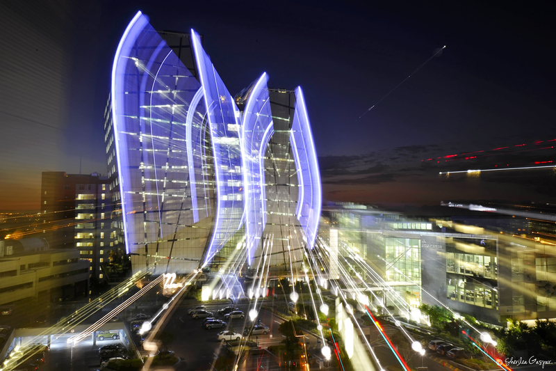 Norton Rose - Sandton