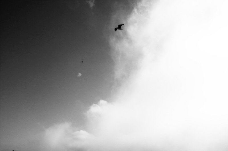 The gull sees farthest who flies highest