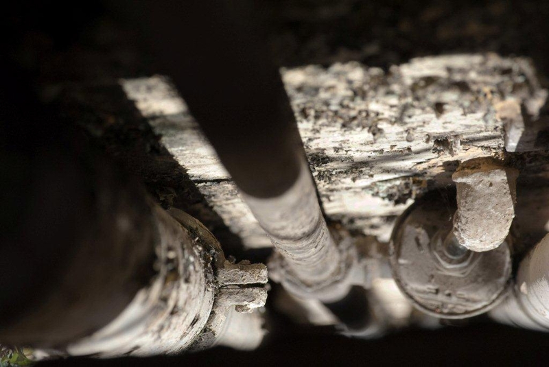 ãƒ¢ãƒ©ãƒ«( Moraru )