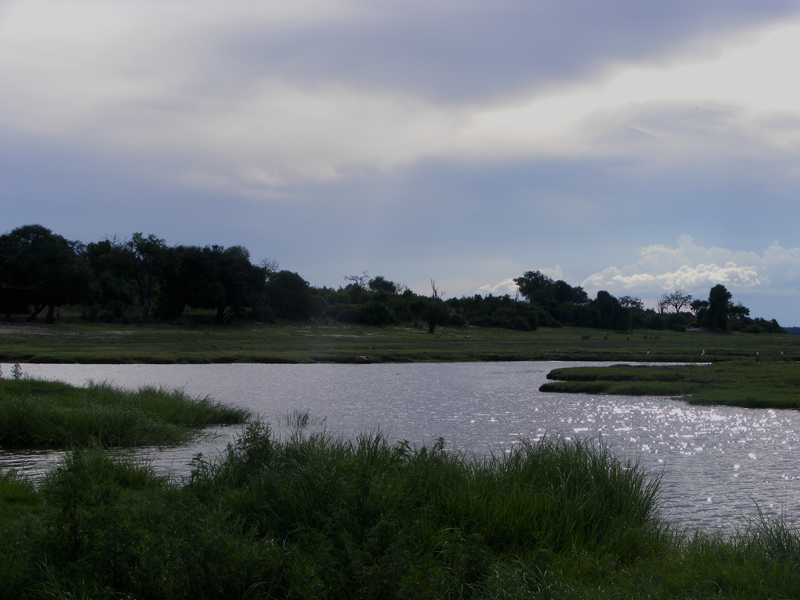 TravellingMan | Botswana -- Kasane