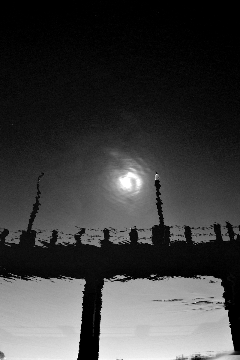 midnight at the oasis