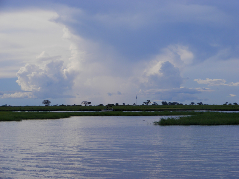 TravellingMan | Botswana -- Kasane