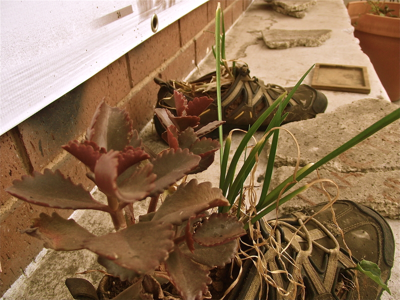 The ones that got away