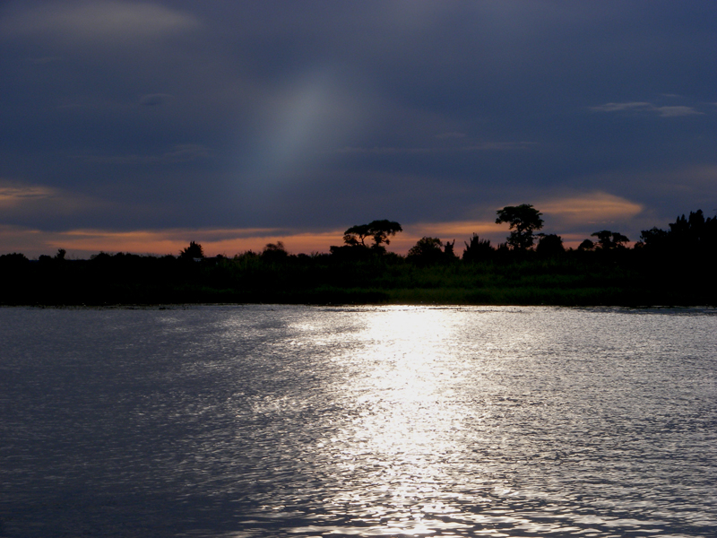 TravellingMan | Botswana -- Kasane