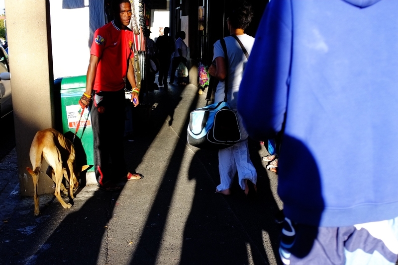 Man with dog in Observatory