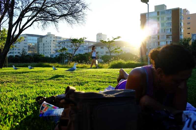 Two birds and some seagulls