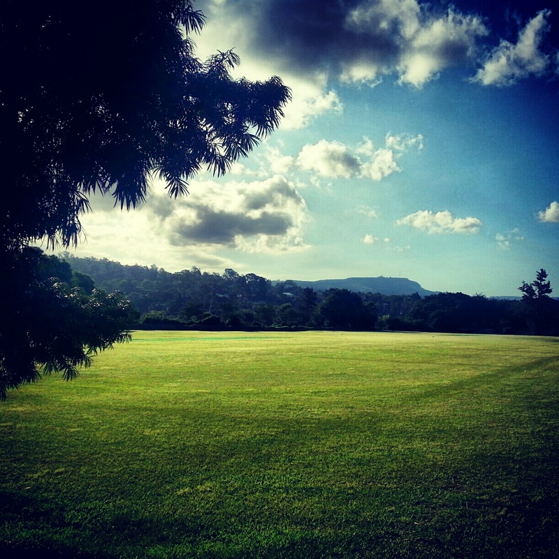 Fields and clouds.....