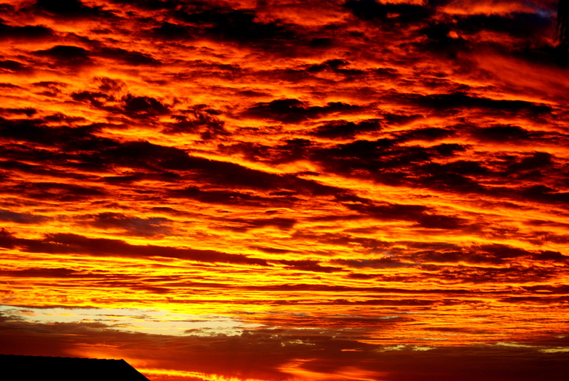 Some Kind Of Wonderful