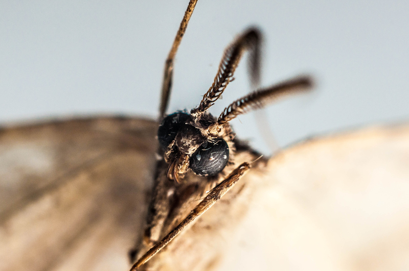 Whatcha looking at????