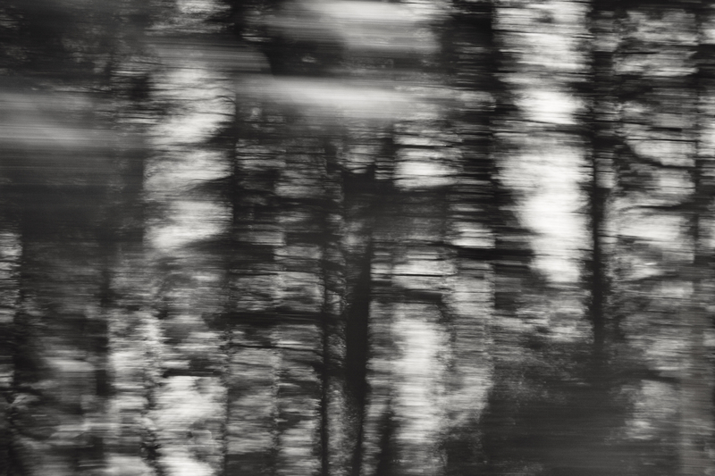 1000th (A picture is worth a thousand words)