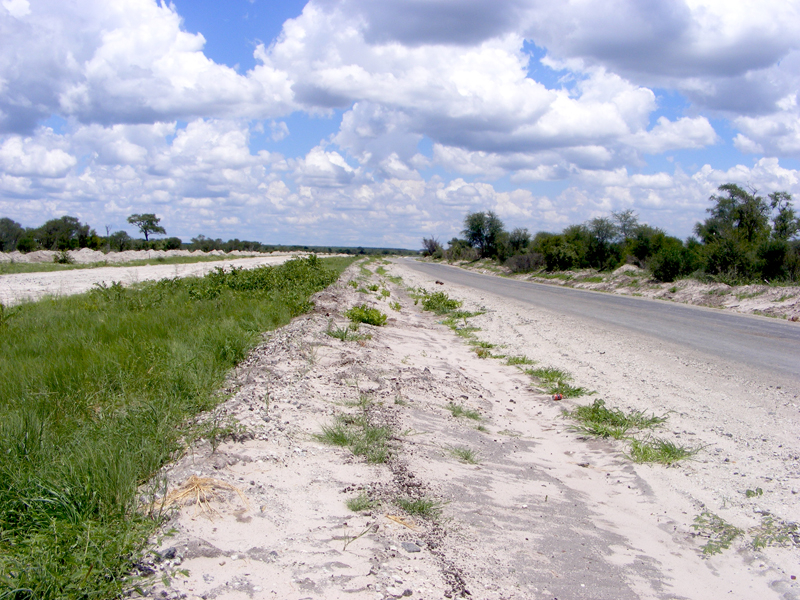 TravellingMan | Botswana -- Francistown