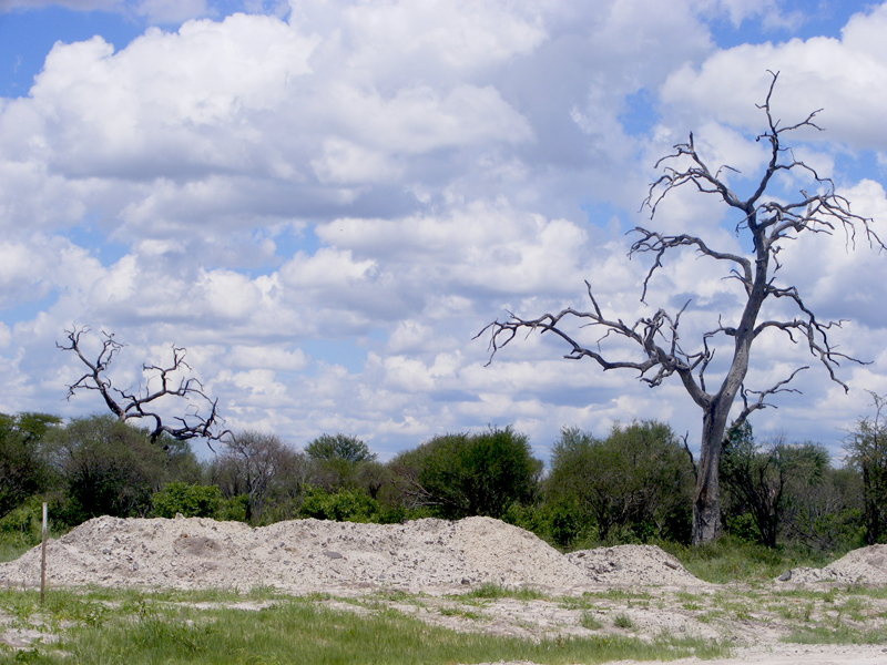 TravellingMan | Botswana -- Francistown