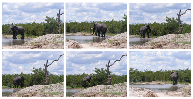 TravellingMan | Botswana -- Francistown