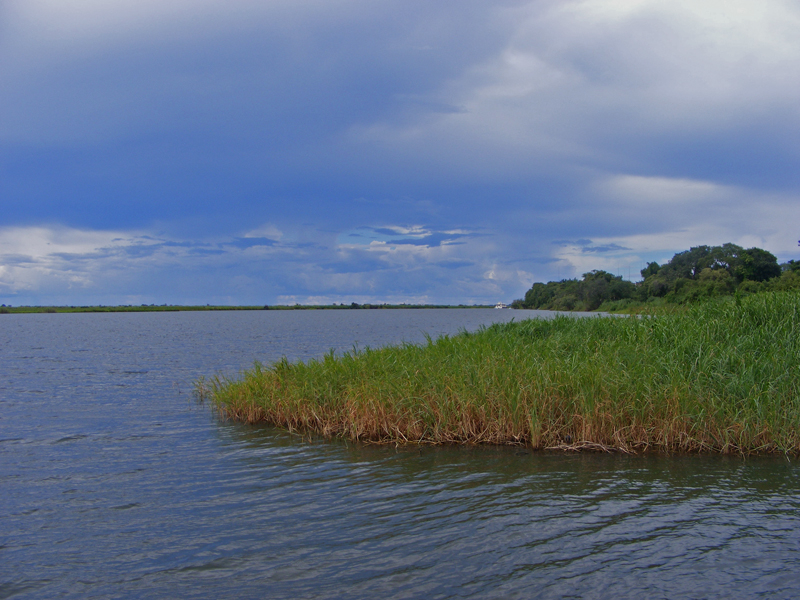 TravellingMan | Botswana -- Kasane