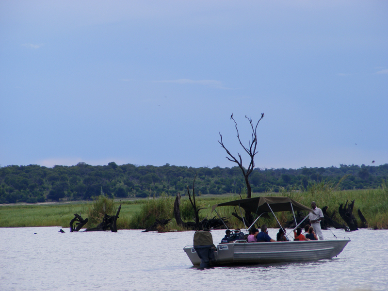 TravellingMan | Botswana -- Kasane