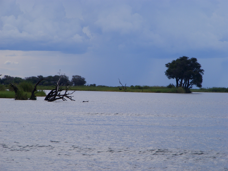 TravellingMan | Botswana -- Kasane