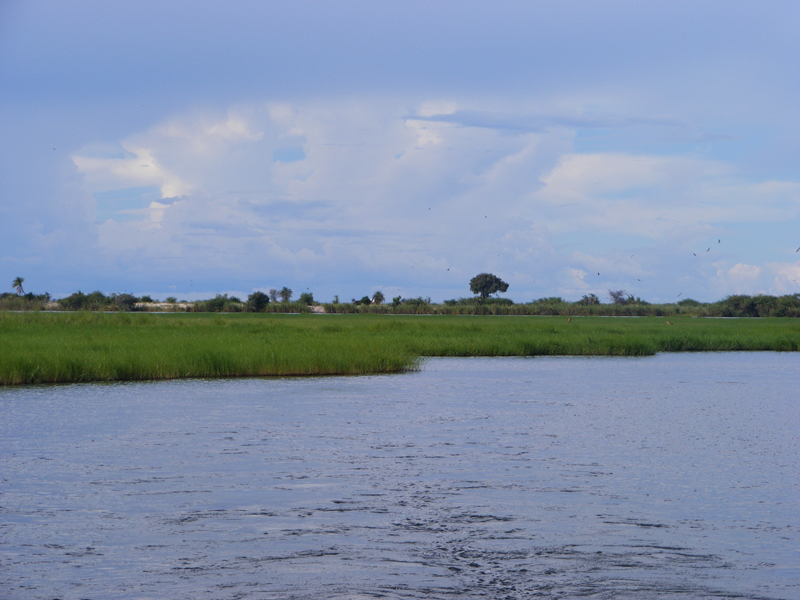 TravellingMan | Botswana -- Kasane