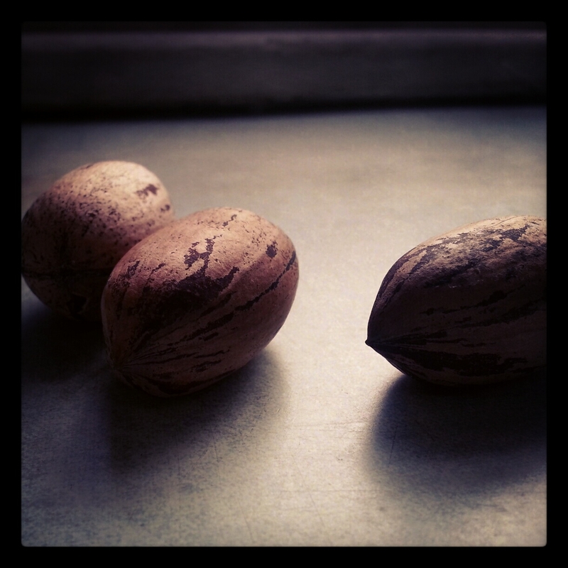 Amaqensi - Pecan Nuts