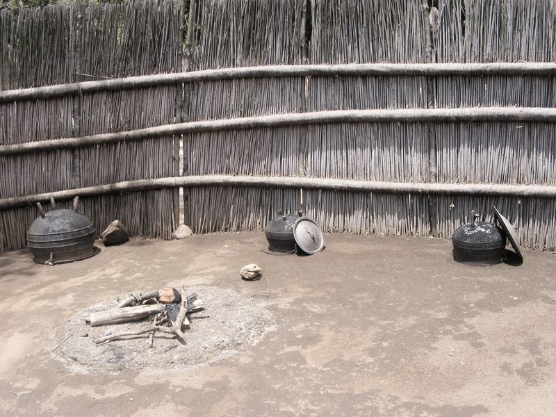 TravellingMan | Swaziland -- Homestead [6]