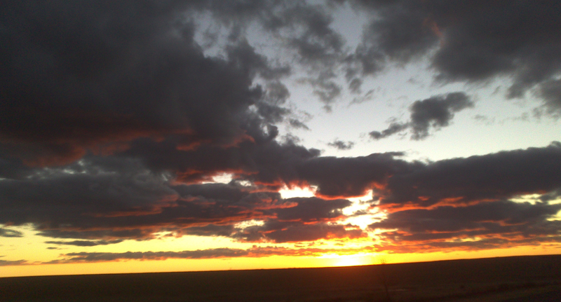 A Quick Roadtrip [5]