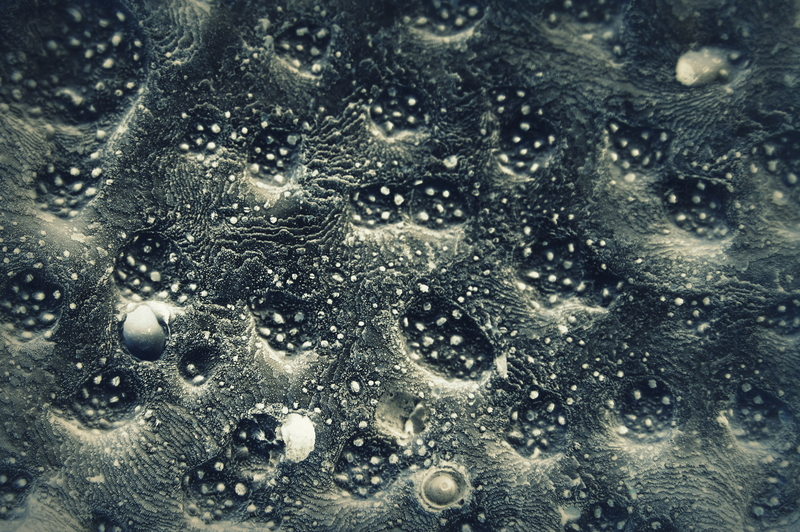 Forces of nature 0.12