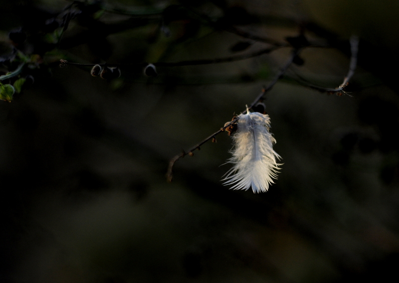 all that is left....