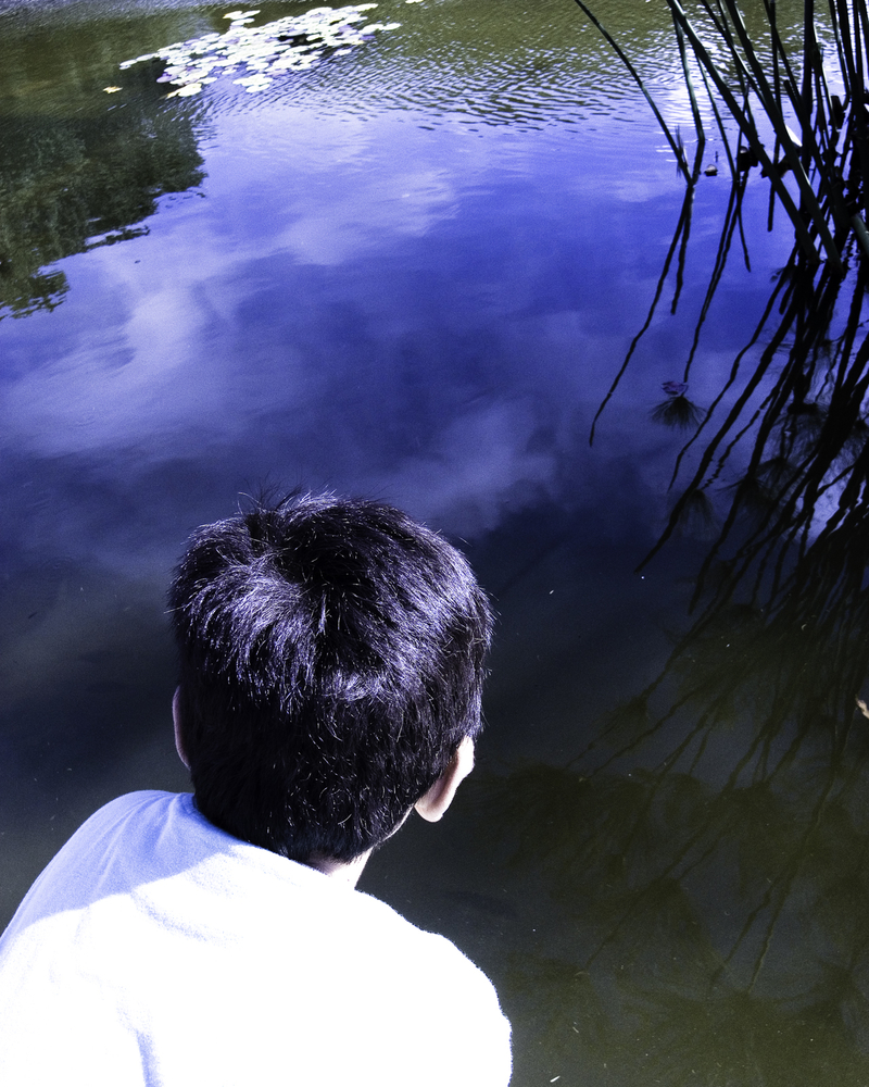 Concentration, Meditation, Contemplation