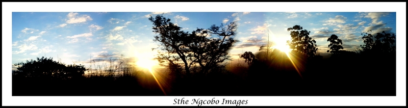 Driveby shooting.....