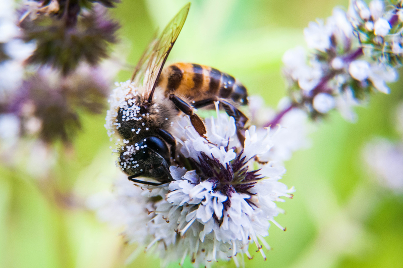 Mother Nature at Work