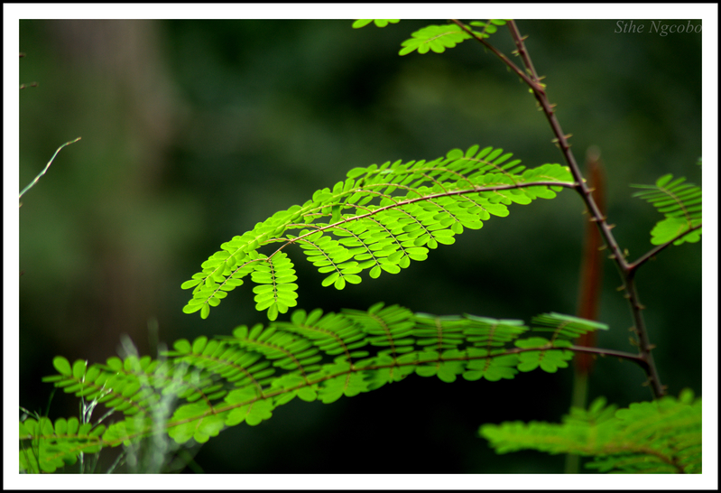 Life's little pleasures