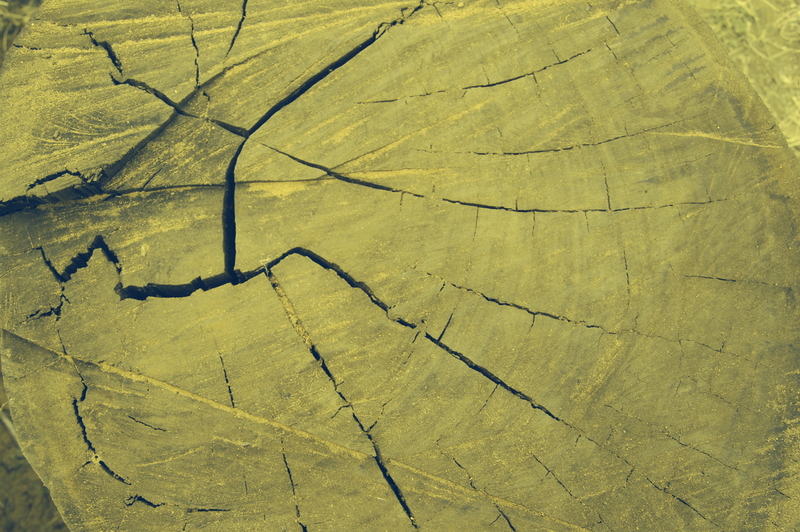 Forces of nature 0.6