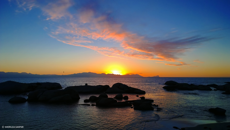 Sunrise at Boulders Beach