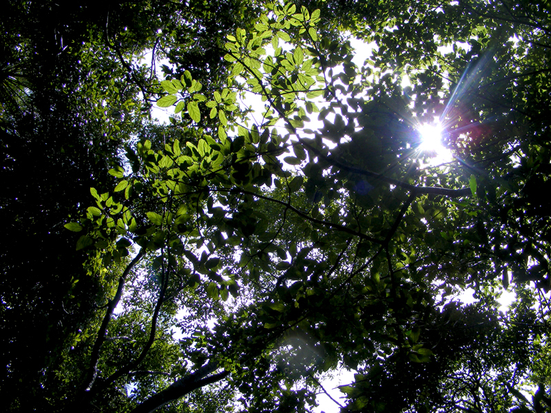 TravellingMan | Zimbabwe: Victoria Falls