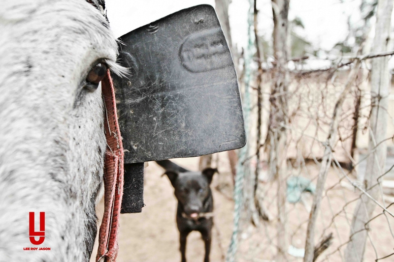 Does what we do change how we see the world as Photographers?