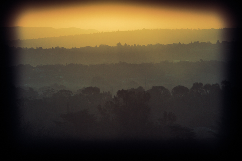 a peek out the window