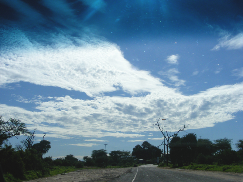 TravellingMan | Zimbabwe