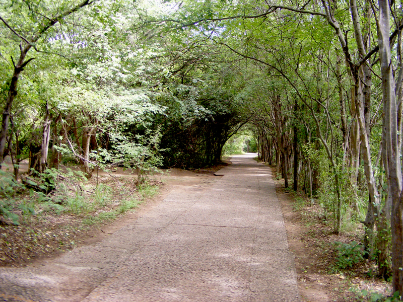 TravellingMan | Zimbabwe: Victoria Falls