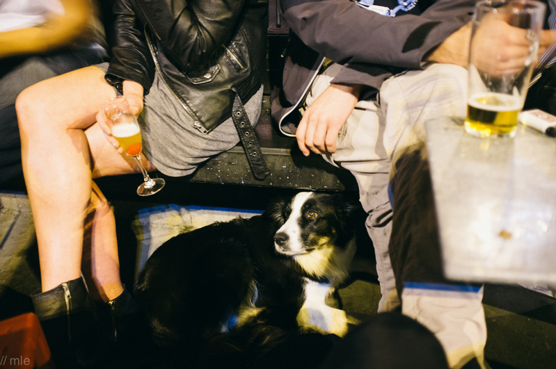 Legs, dogs and beer