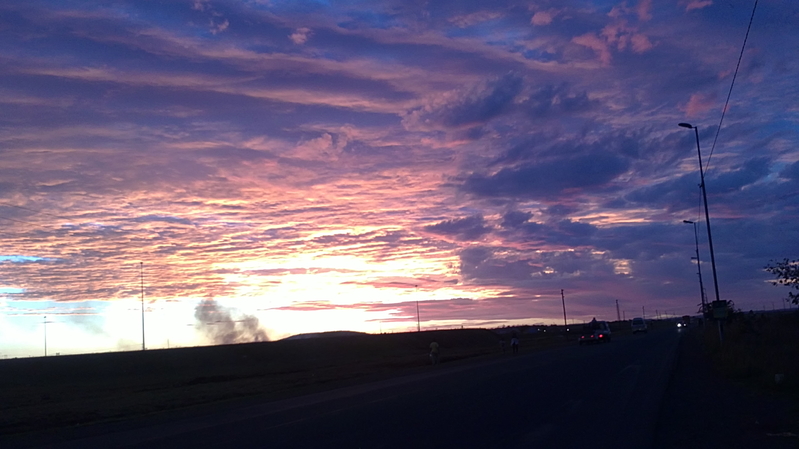 purple, white and yellow