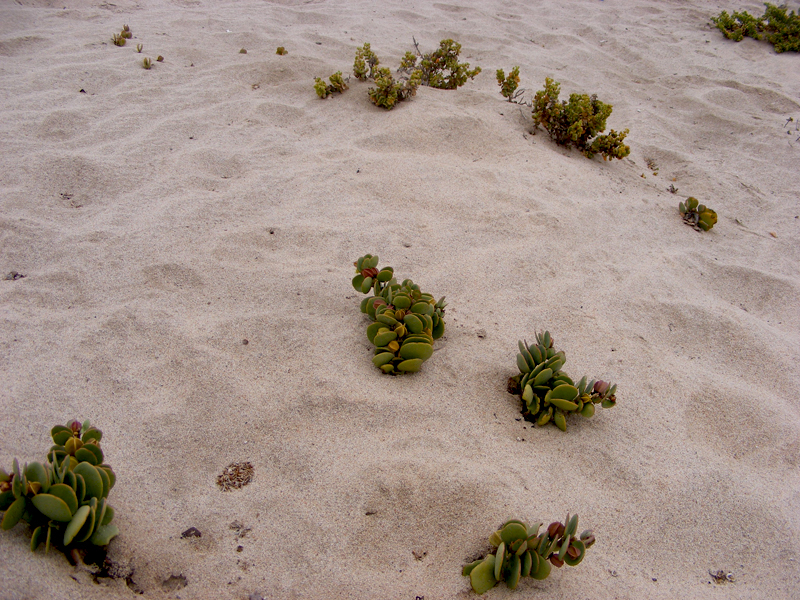 TravellingMan | Swakopmund