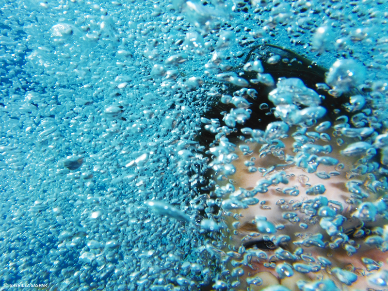 All the little bubbles