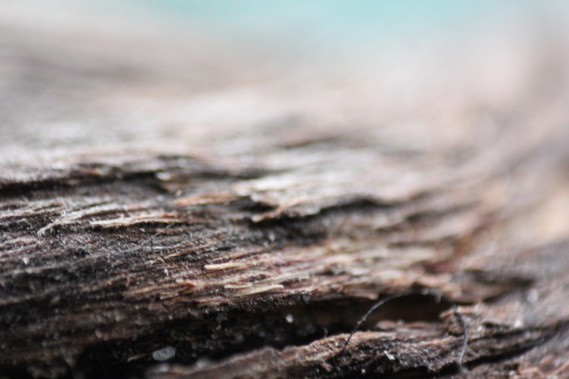 the closer i get ...