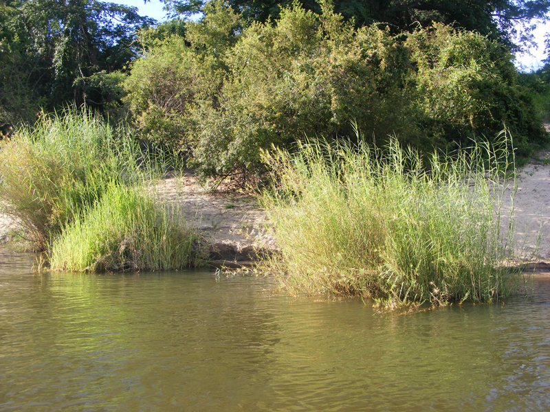 TravellingMan | Katima Mulilo
