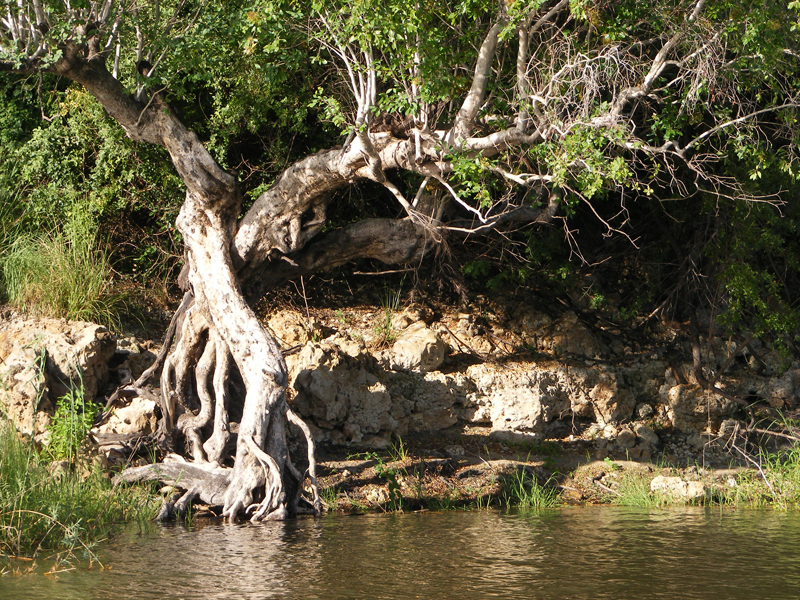 TravellingMan | Katima Mulilo