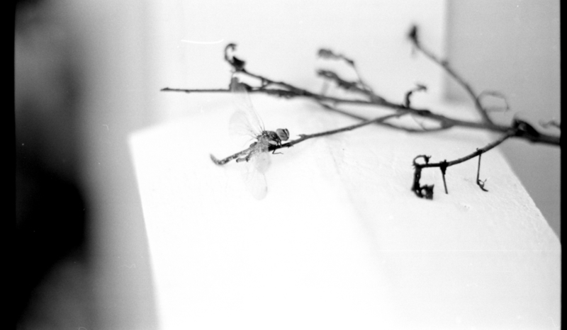 IM HERE, and i wanna play ---