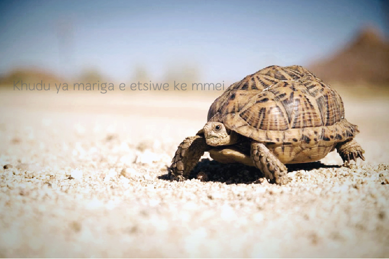 Winter is almost here