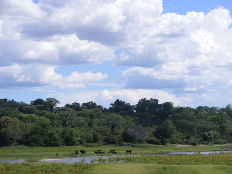 TravellingMan | Zimbabwe: Katima Mulilo