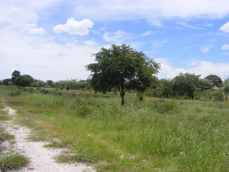 TravellingMan | Katima Mulilo