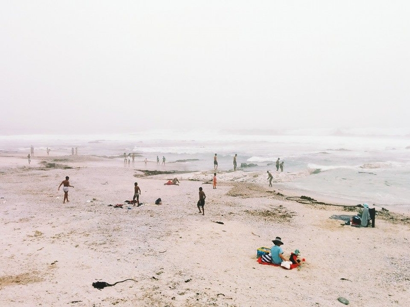 Seagulls, beach, fog