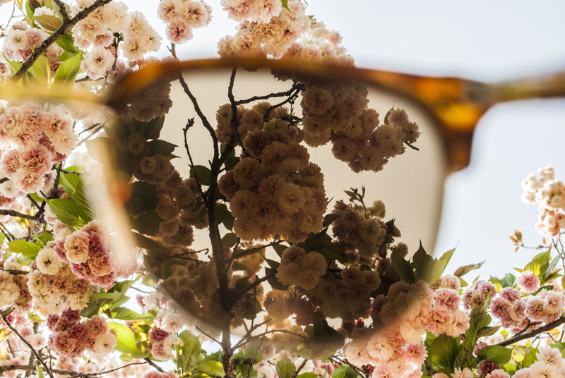 å®Œç’§ãªèŠ± (Kanpekina hana)